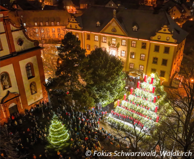 singender Weihnachtsbaum.png